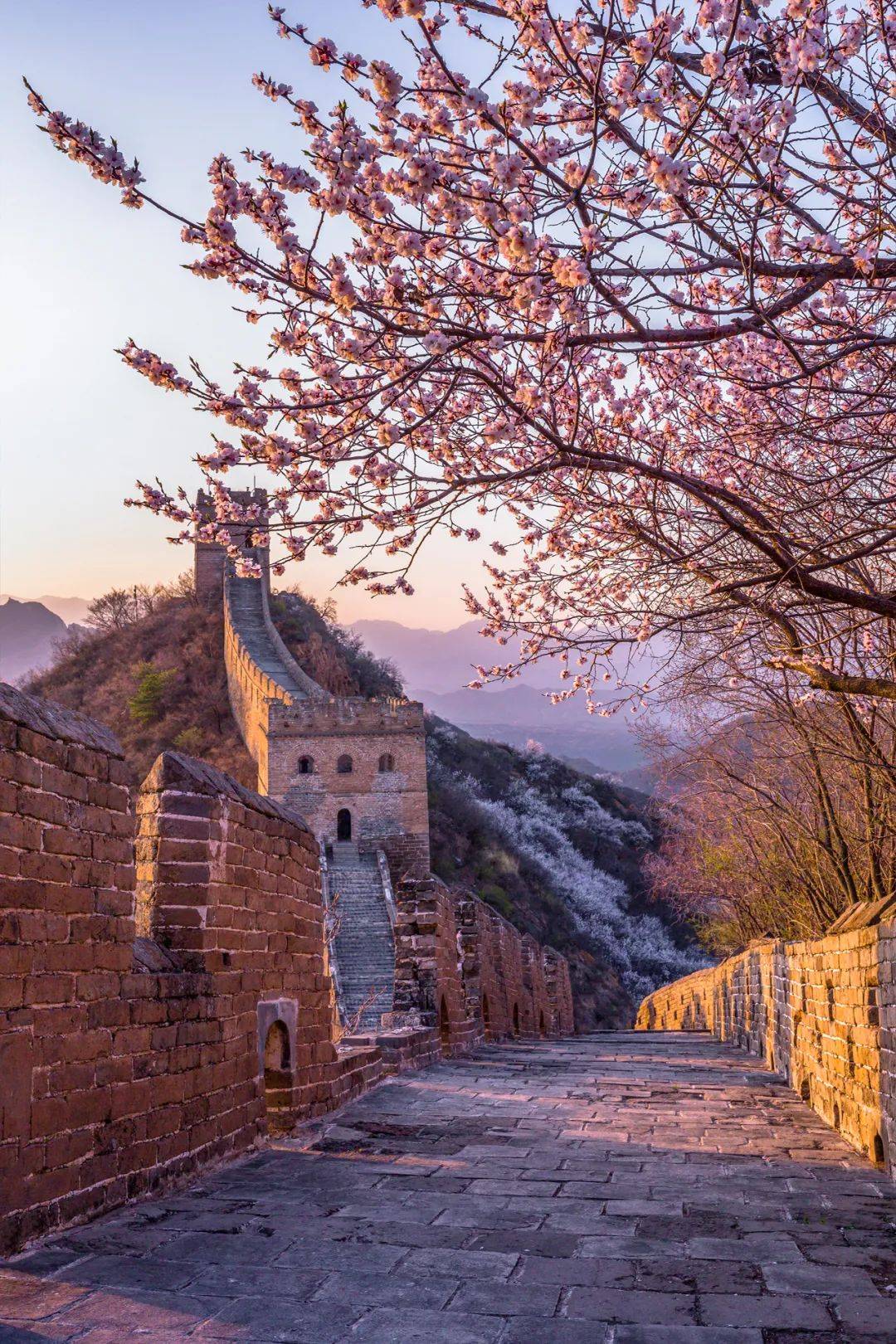 蹲守长城5年,拍下30万张绝美照片:原来长城可以这么美!