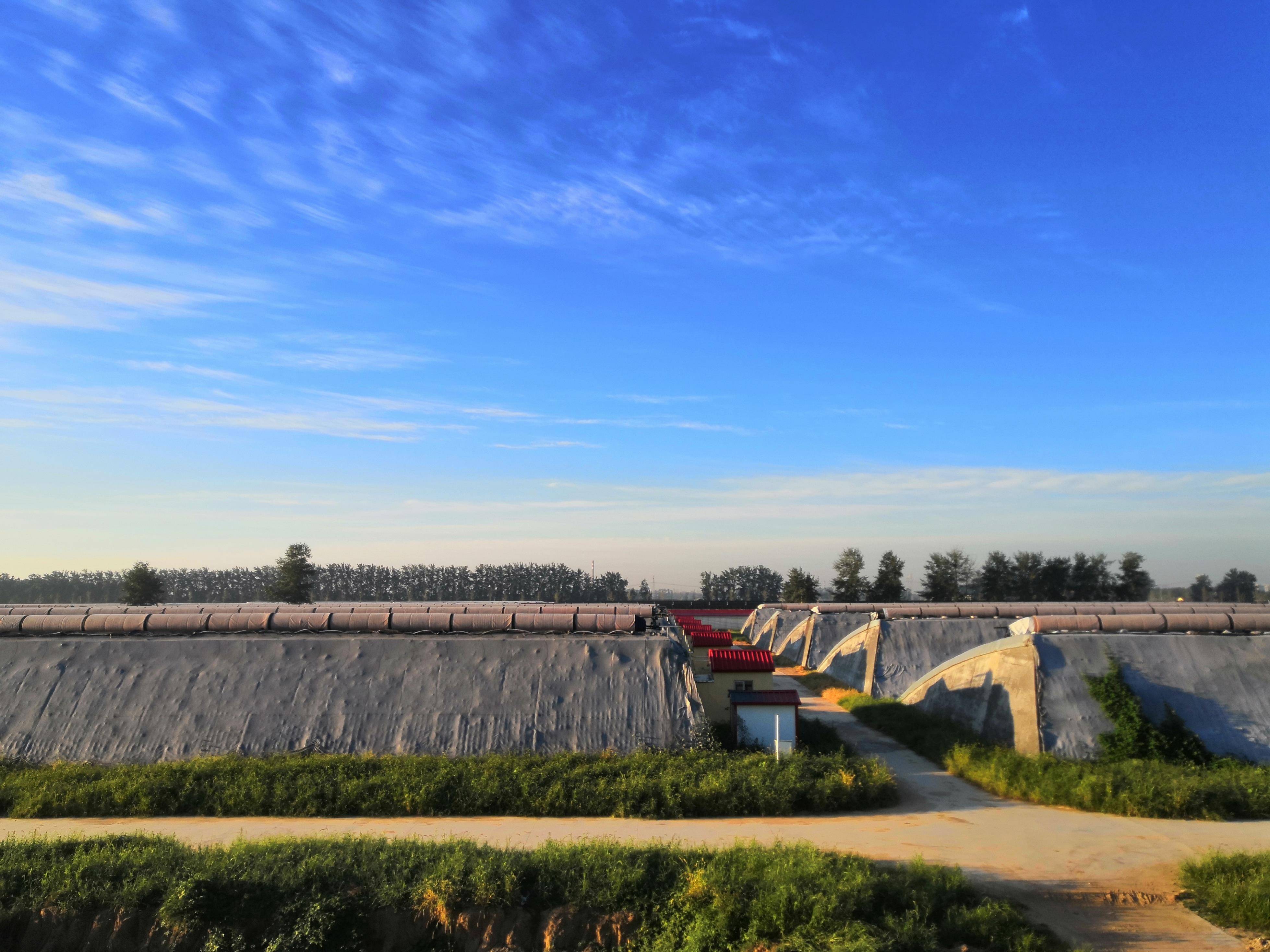 佧美垄农场全景图