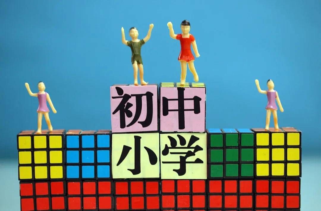 直升摇号随机派位小升初到底怎么升学片区已公布