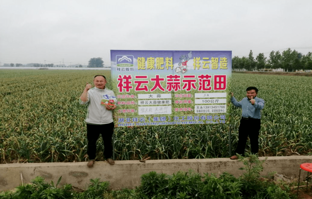 做好示範田觀摩全靠祥雲肥料質量好