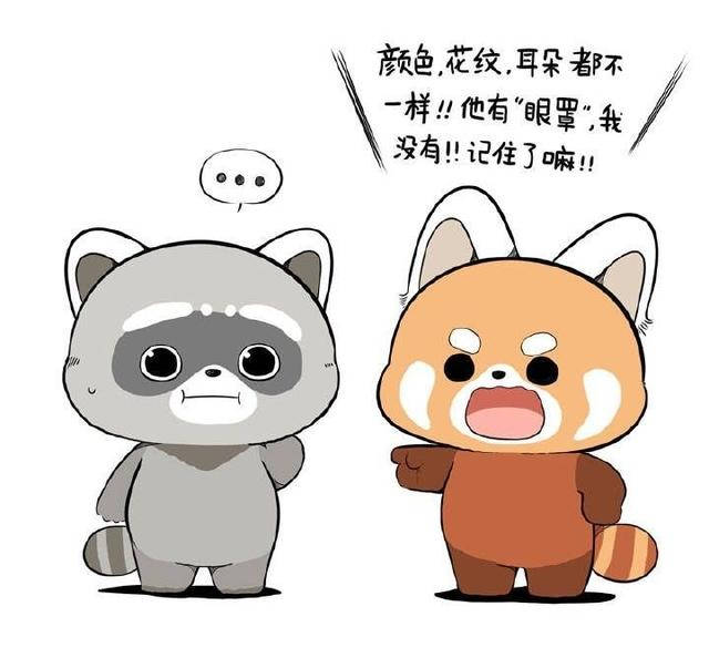 原创小涴熊?小涴球?这都是什么鬼?傻傻分不清楚