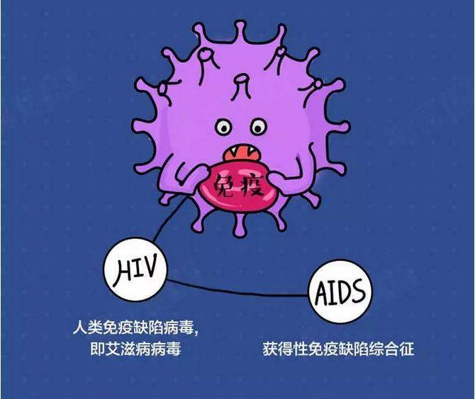 感染後hiv症狀的發展過程_病毒