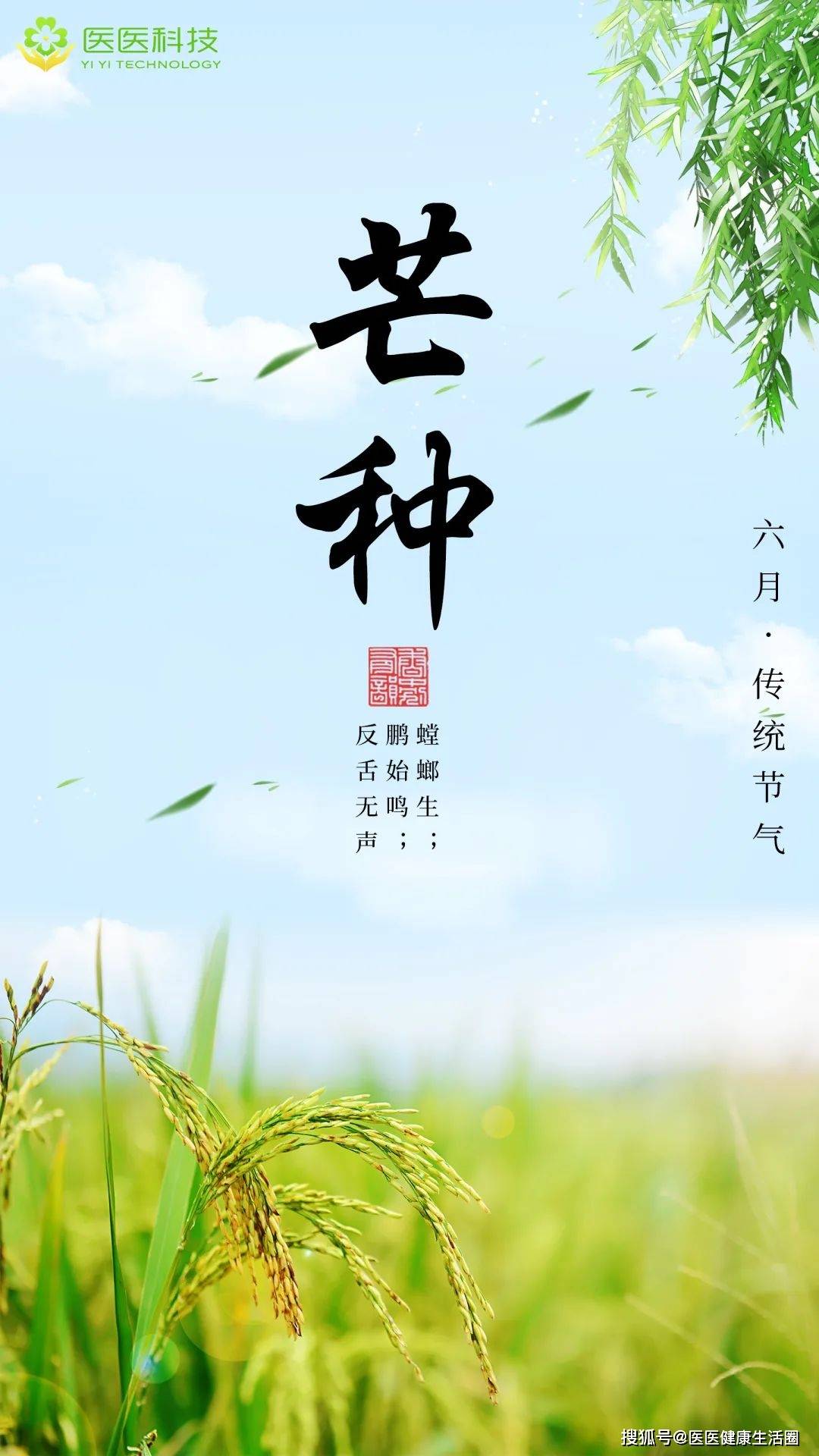 节气养生芒种安苗送百花河外草初肥