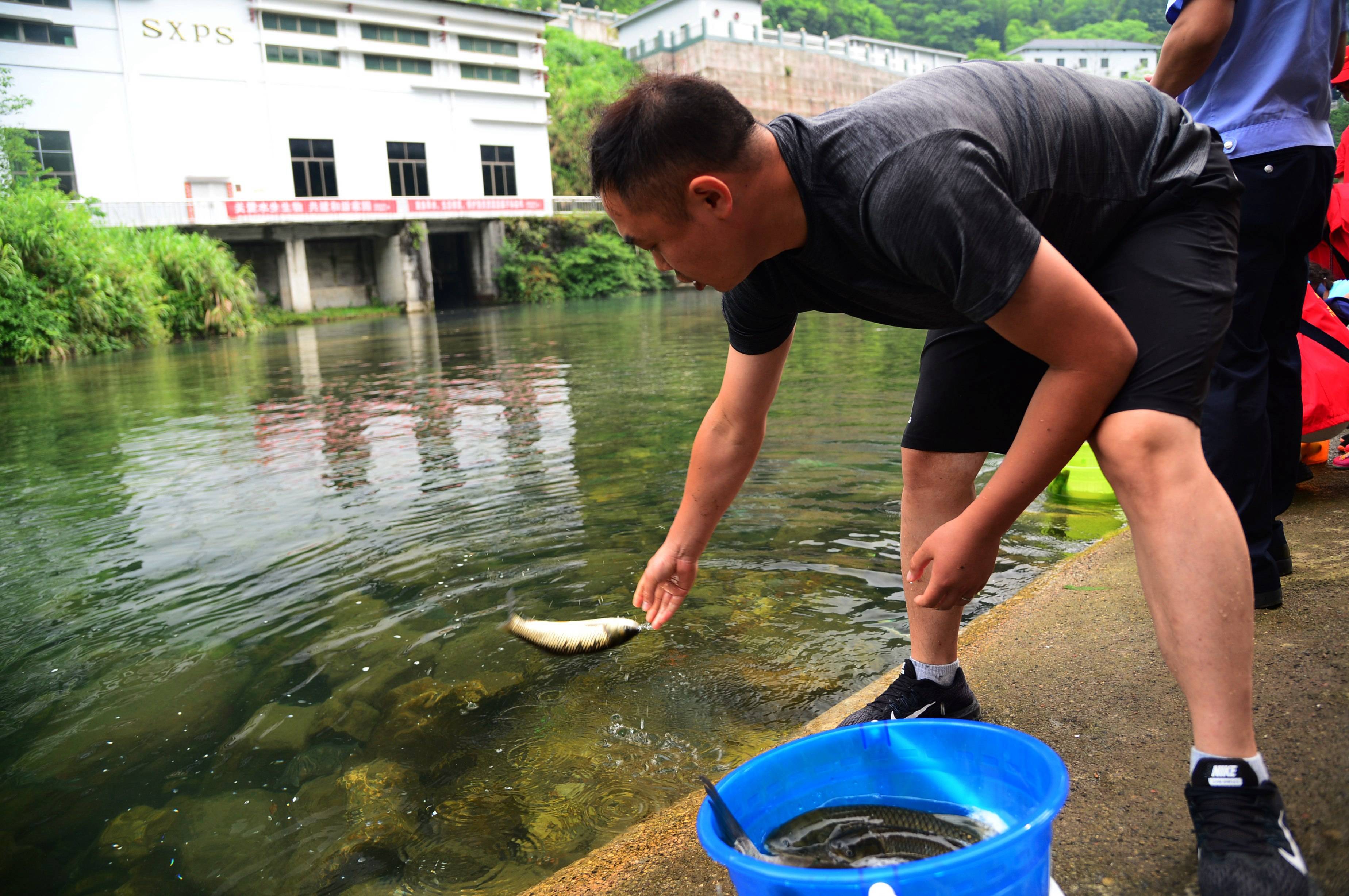 武陵源区开展人工增殖放流活动 334万尾鱼苗"回归"大自然(组图)