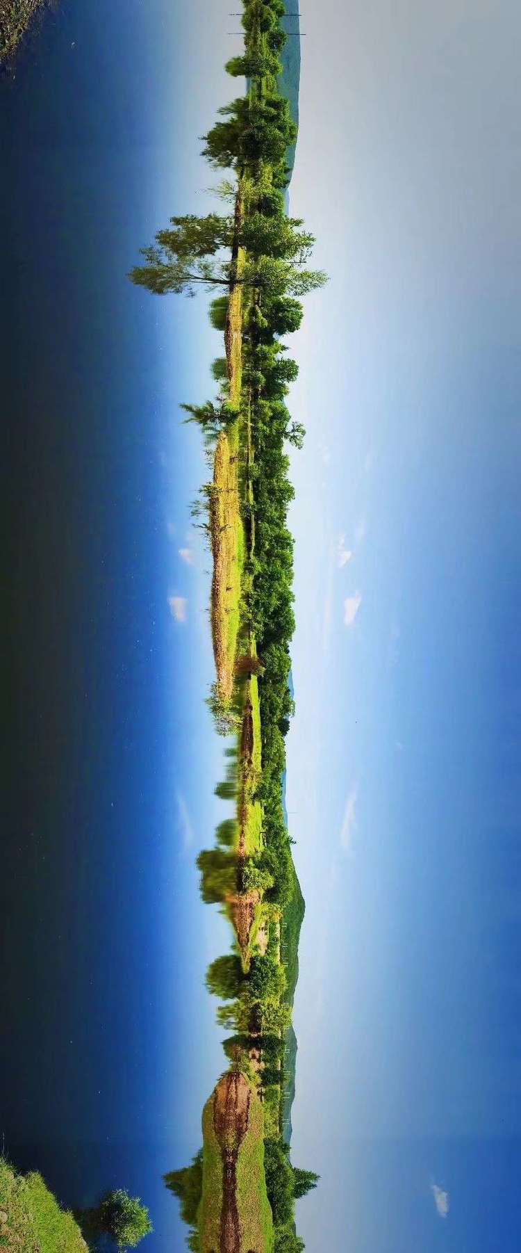 呼伦贝尔(博克图小镇)的夏季景色