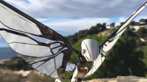 法国工程师打造仿生昆虫无人机