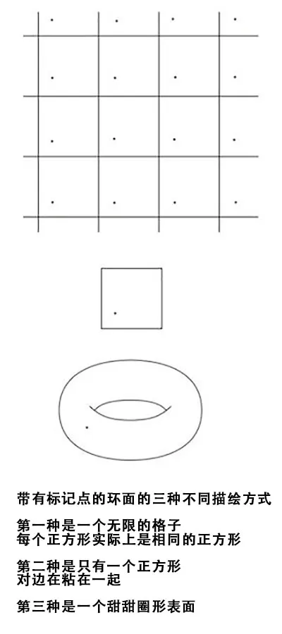 三维环面:你在逃离目标,却最终回到原点