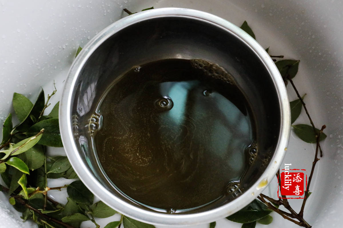 今年用九阳l6-ymini免手洗多功能破壁机果蔬汁模式打出来的乌叶汁是