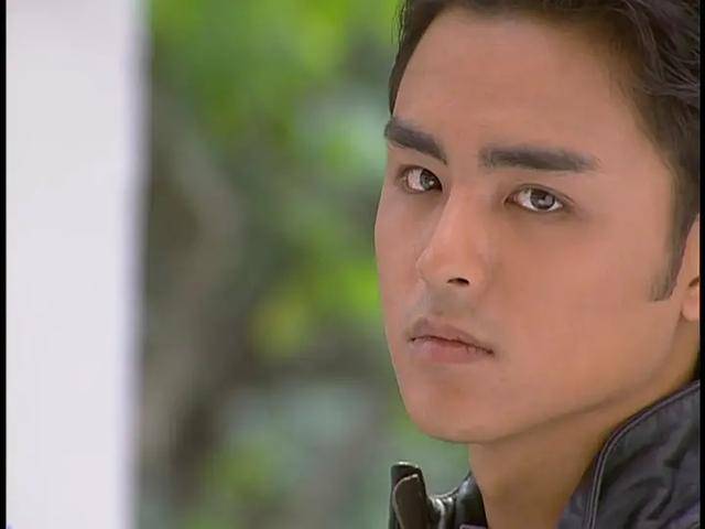 之后他出演的《王子变青蛙》《爱情魔发师》等等偶像剧,也都获得了