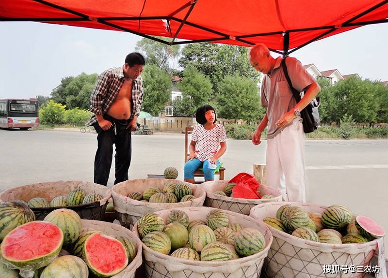 原创西瓜热销,农民赔钱,市民嫌贵,瓜贩躺枪,直呼太冤,谁在牟利?
