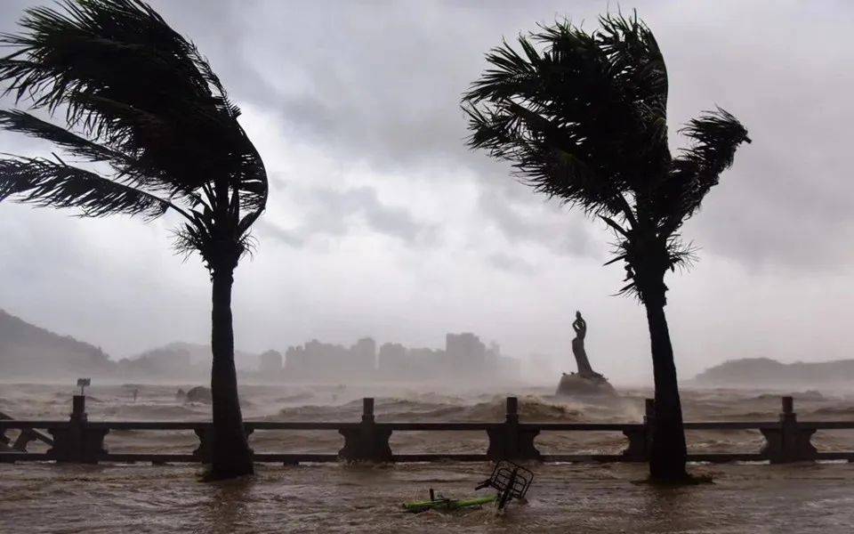 又双叒叕到了台风季别怕停车出行注意事项给您安排上