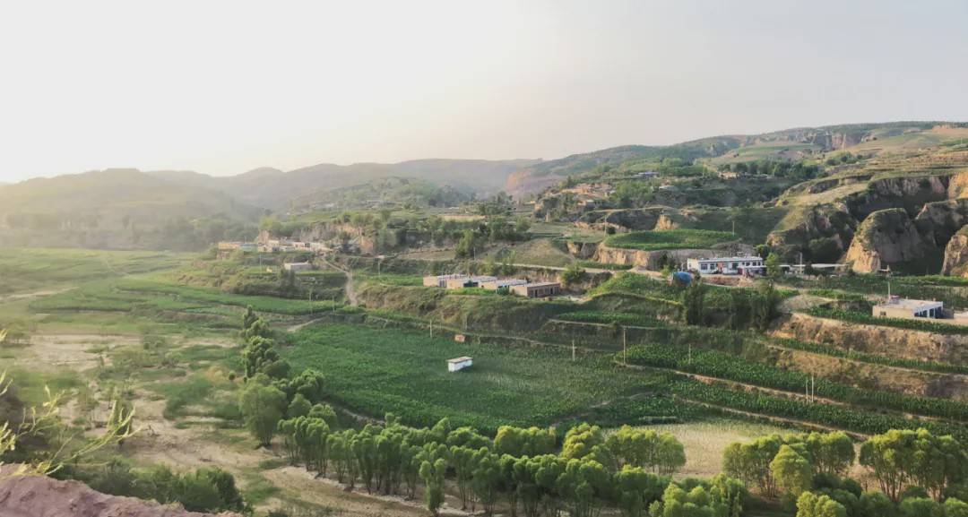 多位省长参加的总理会议,为何邀请沂源负责人?