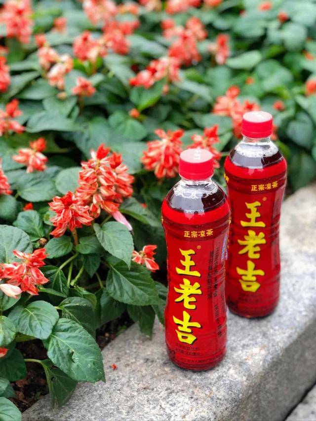 广药集团多款产品强势入驻广州直播节白云山维一植物精油直播首秀