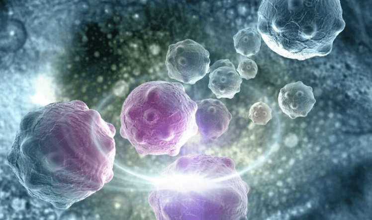 科学家研制超级"nk细胞",更强的活性,抵御外来细胞