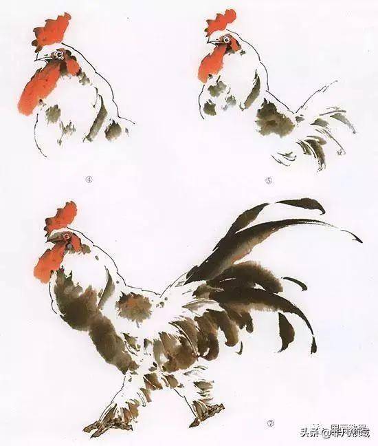 中国国画之鸡的绘画技法 (图3)