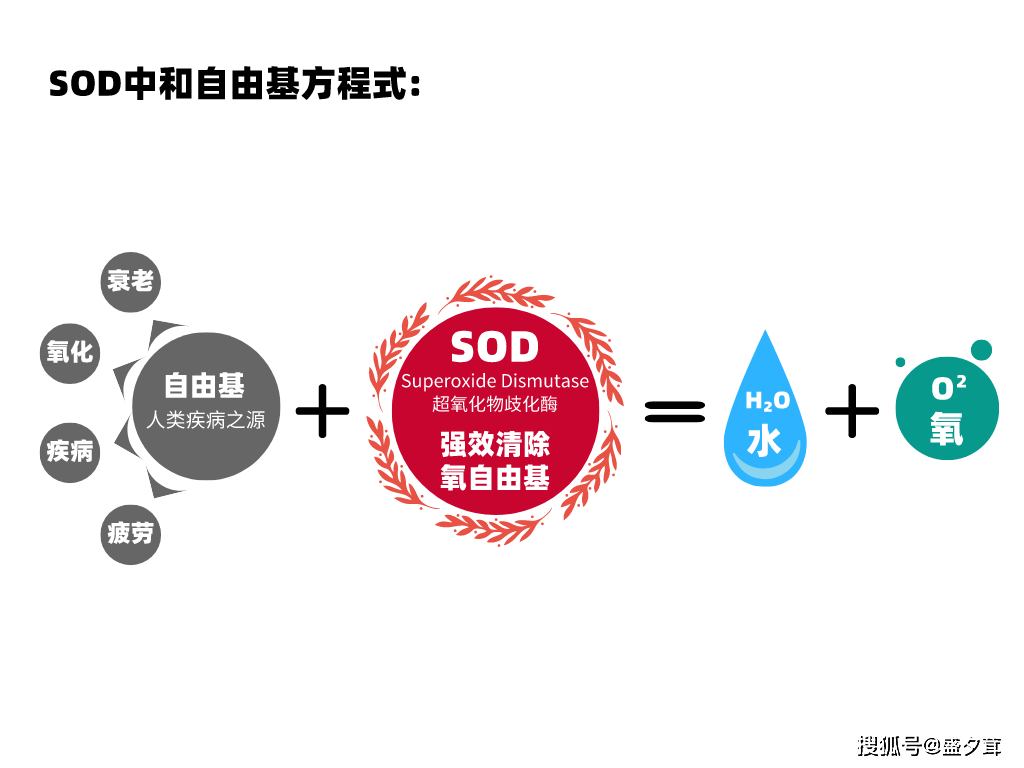 西伯利亞白樺茸活性成分—超氧化物歧化酶(sod)_陰離子