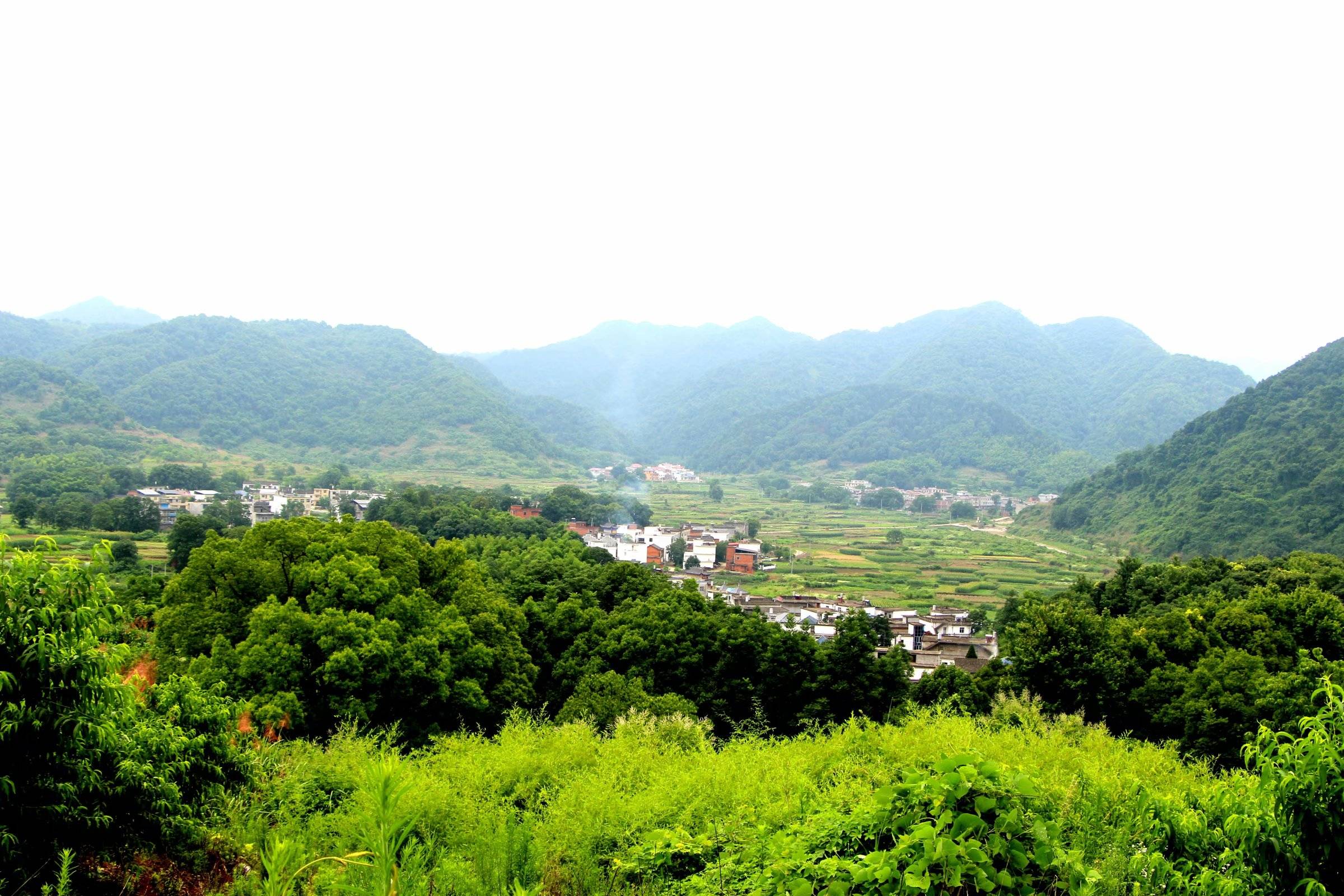 二十载青春岁月演绎了铁炉村花果山般传说--访扶贫路上好支书柴桑区铁