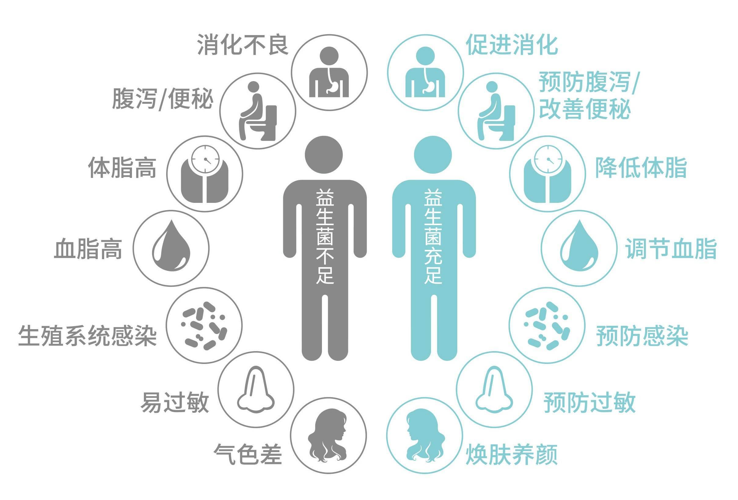 维持肠道菌群结构平衡