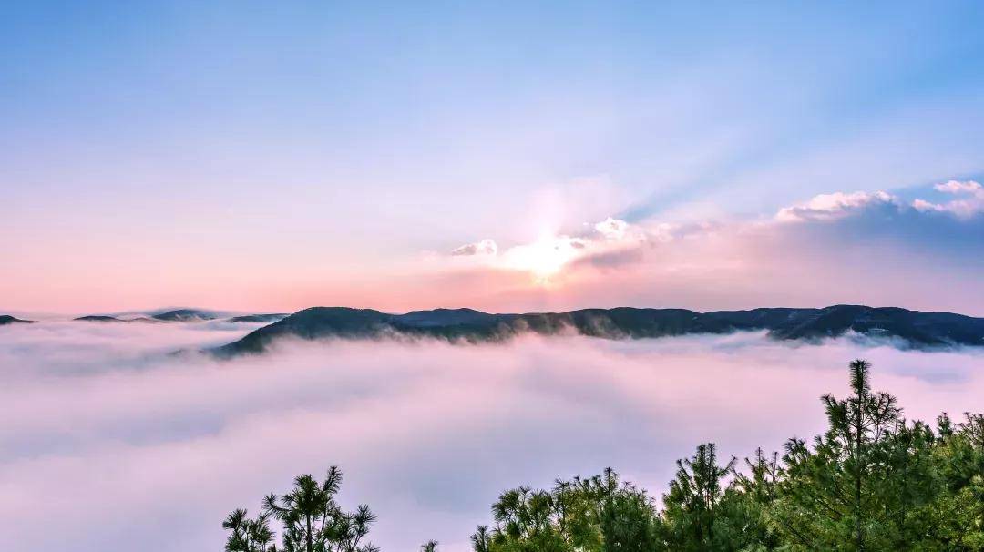 景迈山 云海万里,萦回紫翠