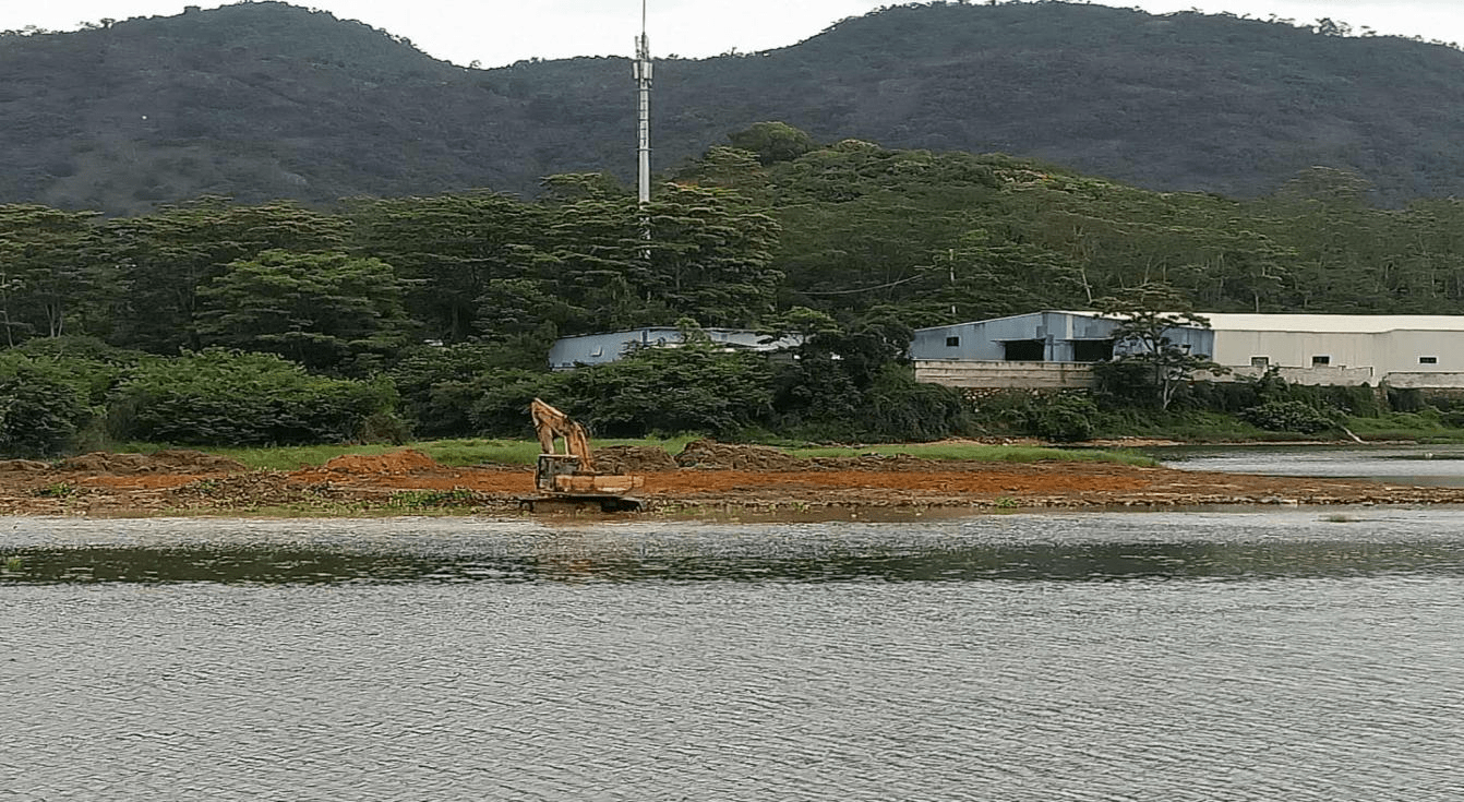 惠阳新圩大佬图片