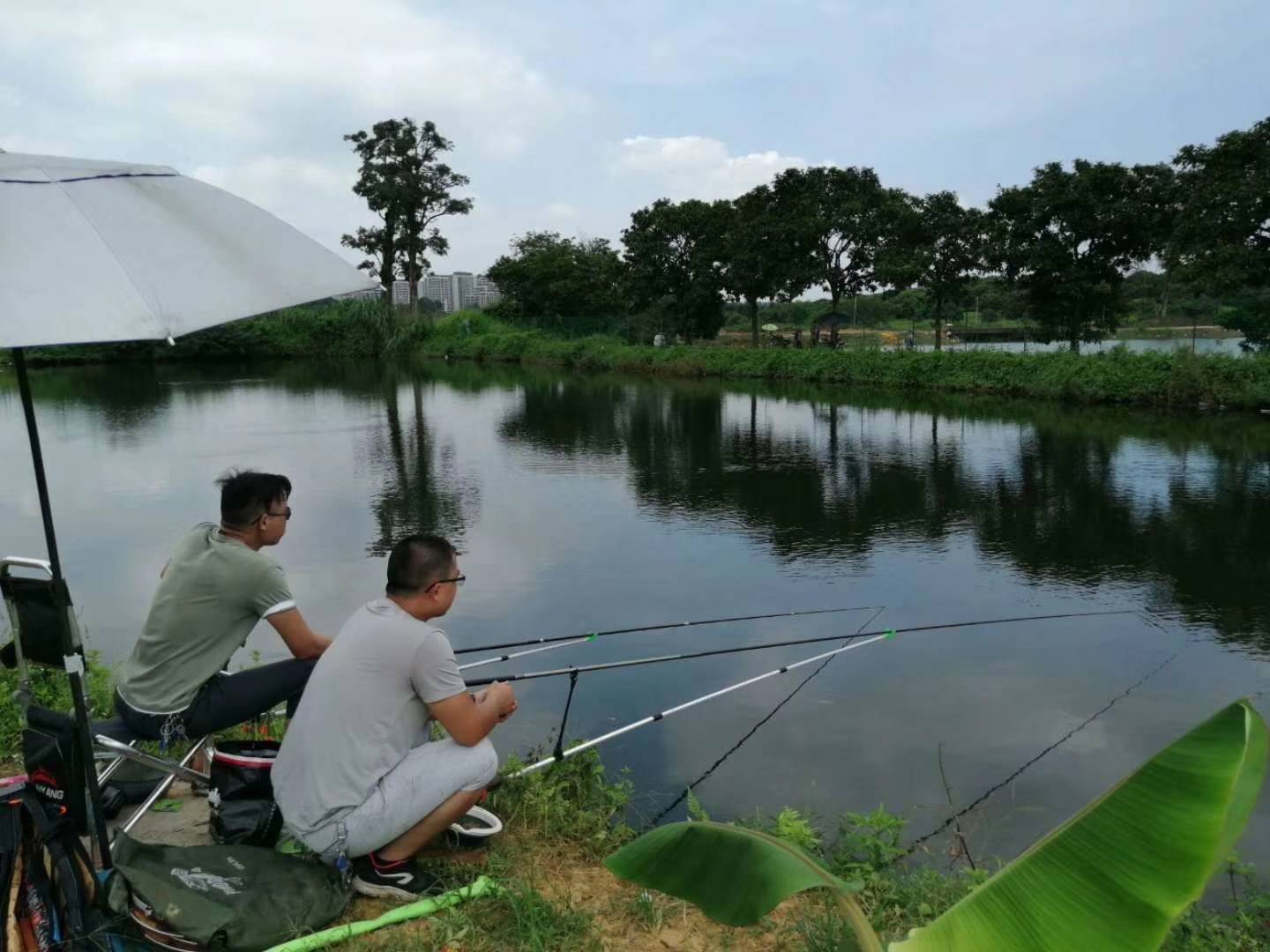 深圳钓鱼农家乐图片