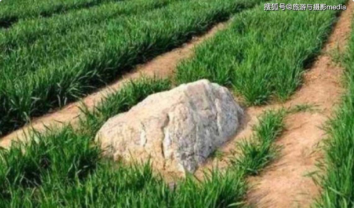 原创我国拥有世界上最矮的山峰,平均海拔只有0.6米,这么矮也叫山?