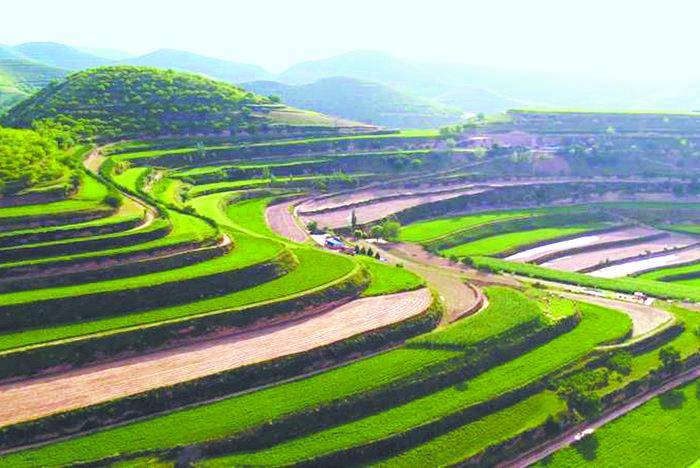 秦彤华摄(中经视觉)地处黄河中上游多沙粗沙区的甘肃庆阳段因植被