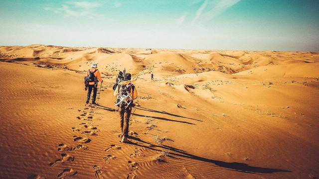 卡拉库姆沙漠沙漠