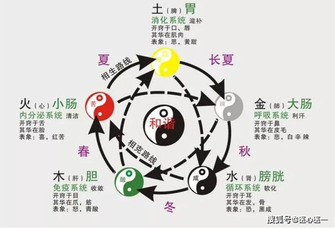 入门中医必读，一文读懂五行学说！-搜狐大视野-搜狐新闻