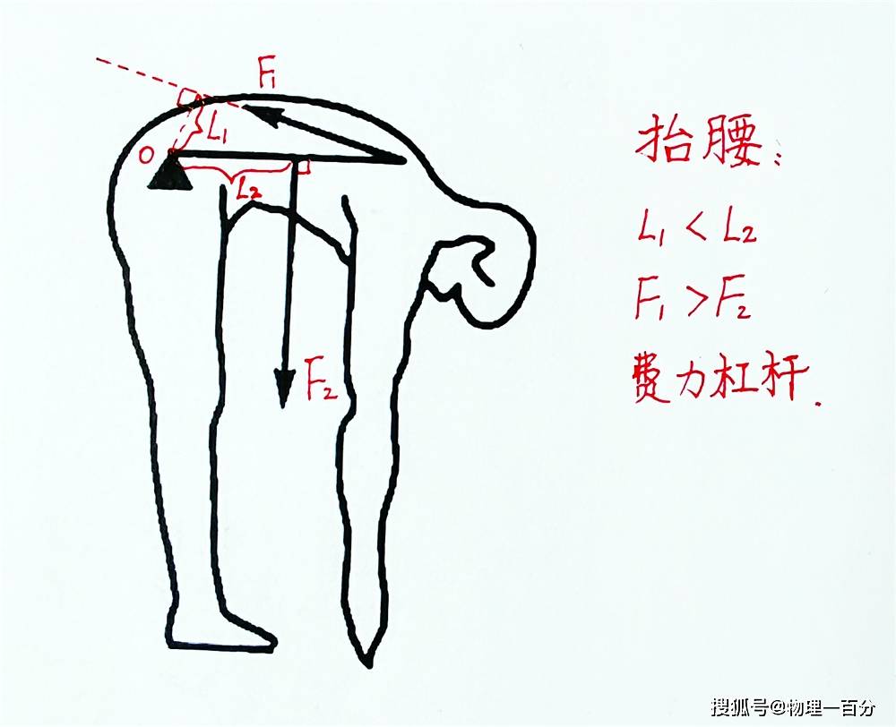 原创踮脚动作明明很费力为什么是省力杠杆中考物理必考知识点归纳