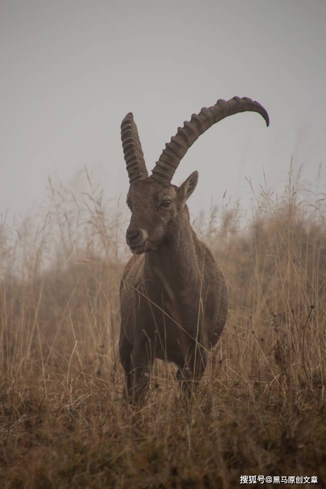 心理测试:暗恋的他到底喜不喜欢你?