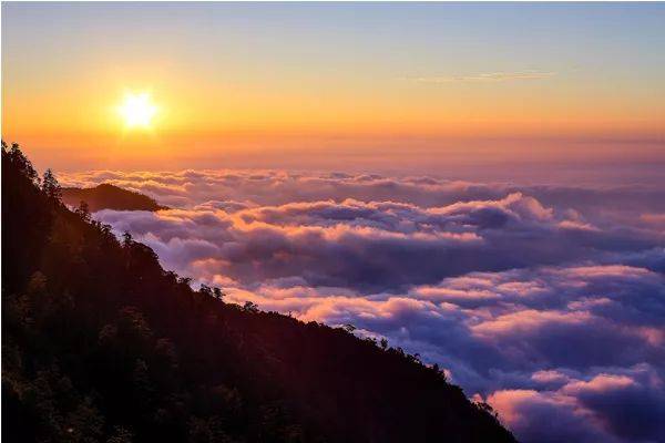 假期首選臺灣五大必看雲海_阿里山