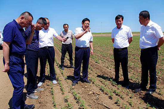 内蒙古农牧厅副厅长赵永华到大河湾农场调研