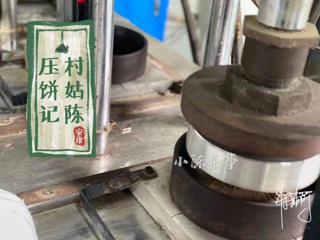 白茶饼应该如何压制村姑陈亲自展示压饼流程每个环节都很具体