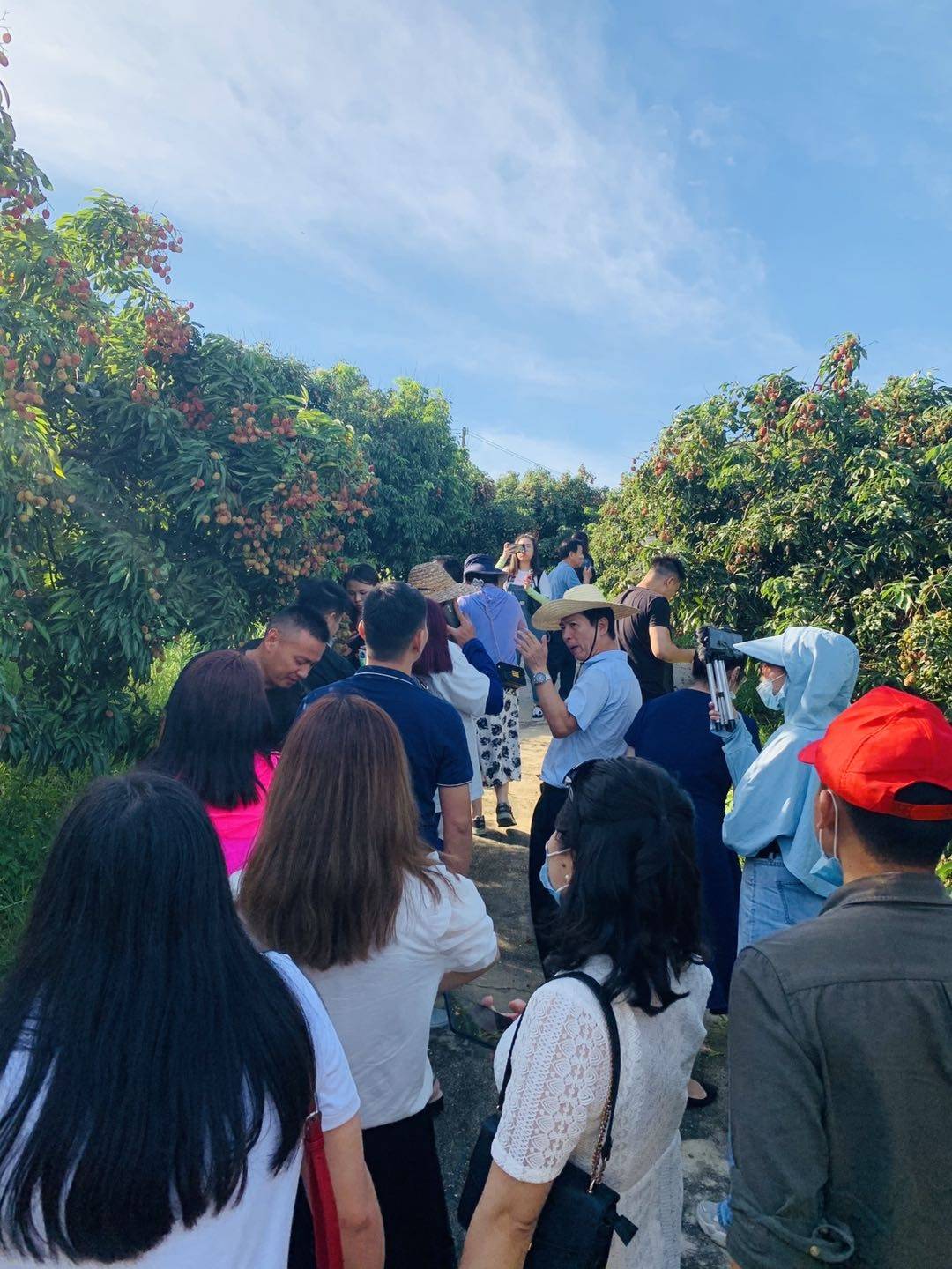 协会秘书长张铭博士分享理事单位金泰华刘京乐总裁广东国际荔枝节荐言