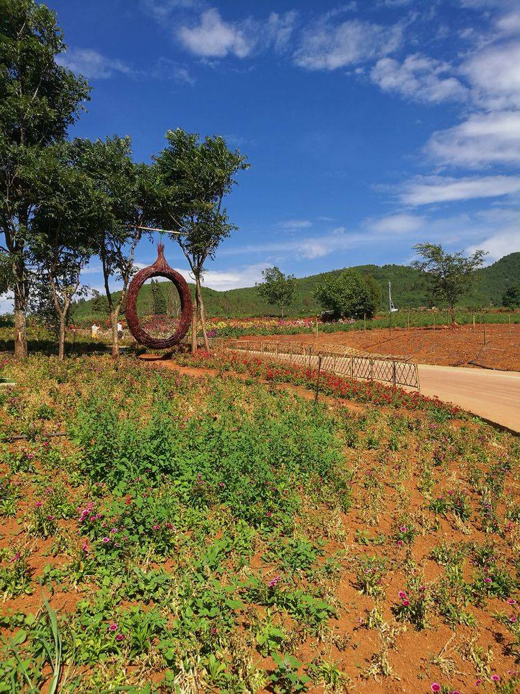 昆明百花箐山谷景区图片