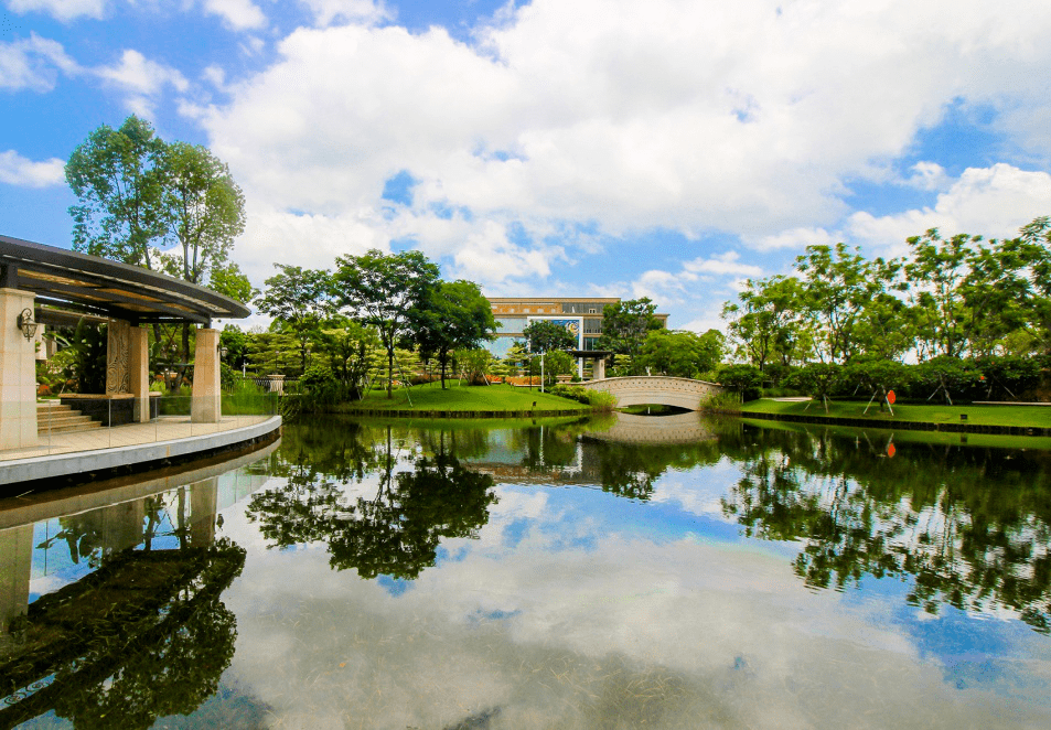 惠州梵高的花园图片