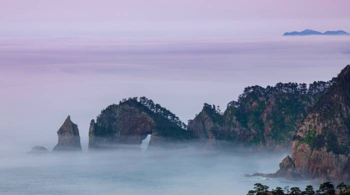 从利润亏损到生死挣扎，中外彩电企业今年能否自救？-家电圈官网