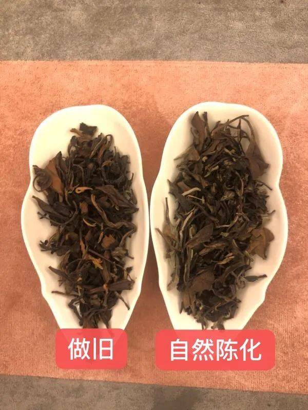 别具一格的福清站俘获茶友芳心下一站去看风花雪月的宁德站