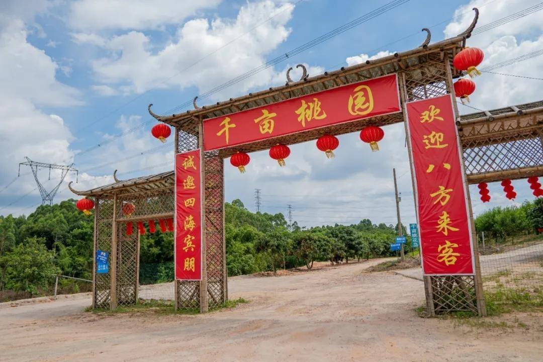 千亩桃园出行攻略