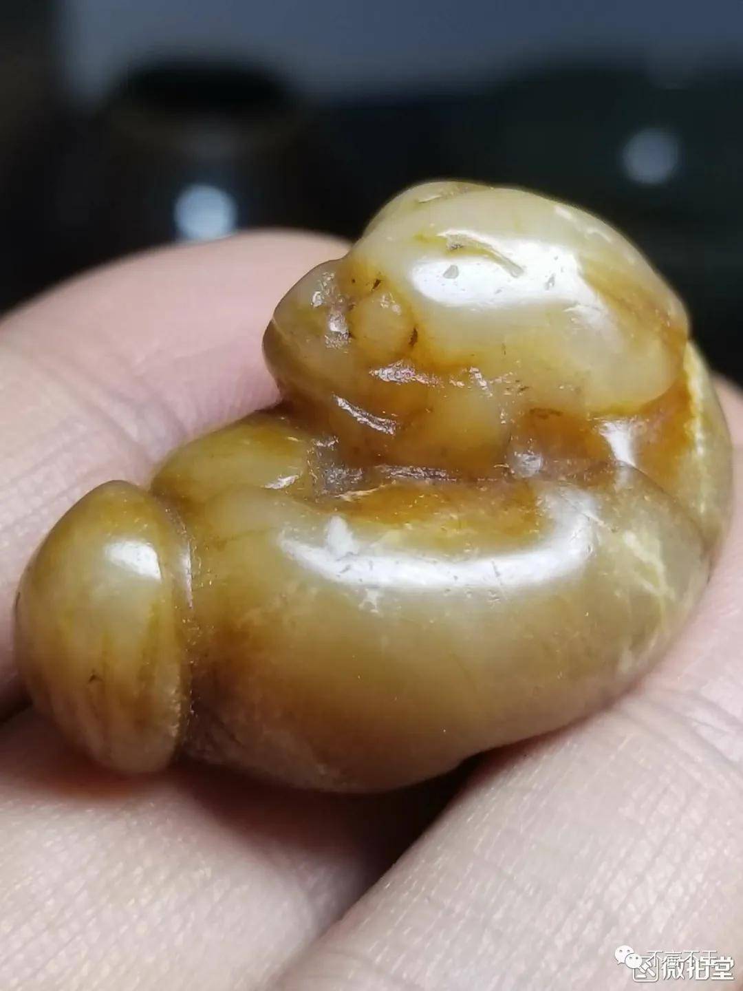 杨念慈:《爱情论》01