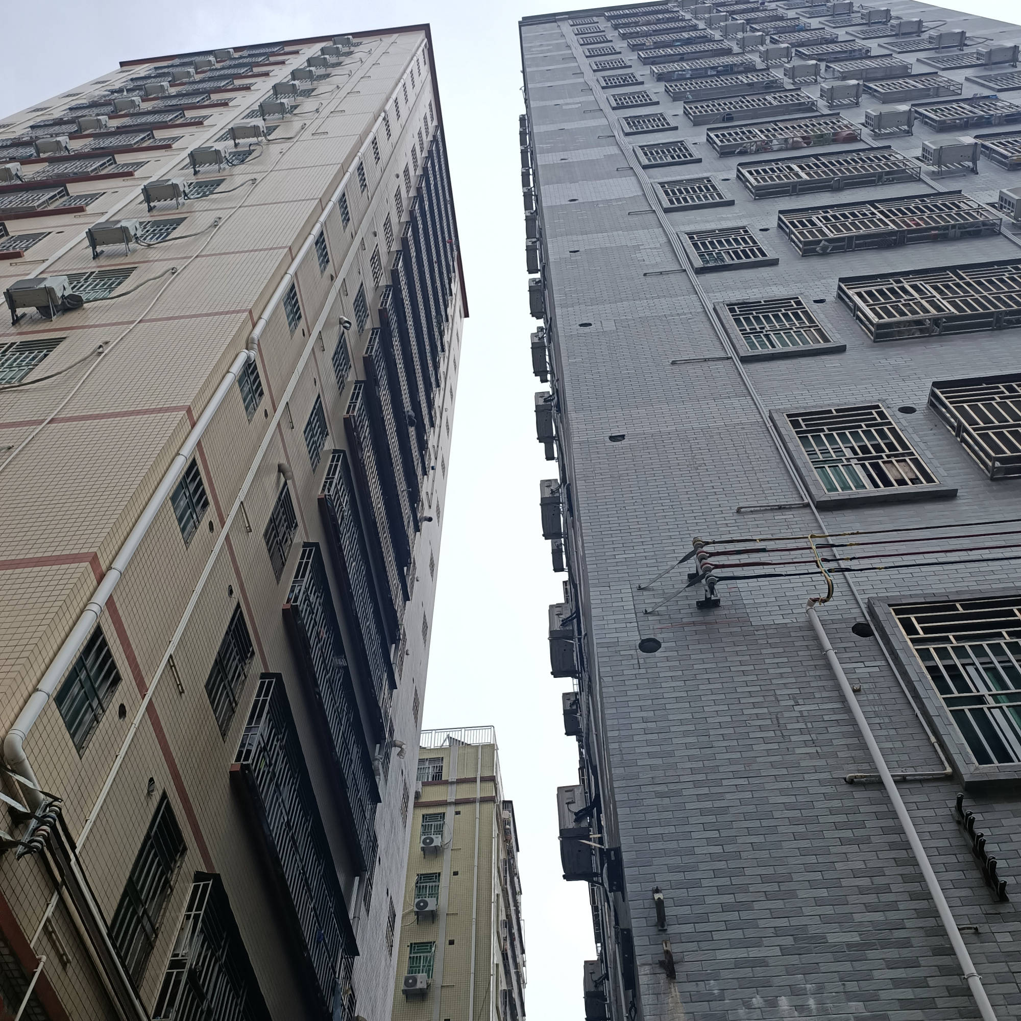 深圳本地房东有120套房,一个月收的租金相当于普通人10年的收入_房子