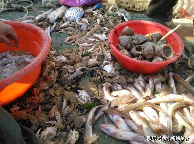在农村市场看到的海鲜,好多海鲜呀!