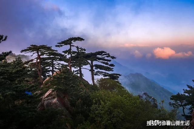 镇心醉迷离在霍山的夏花淡草翠不用刻意雕琢不用刻意找寻便会吟出清浅