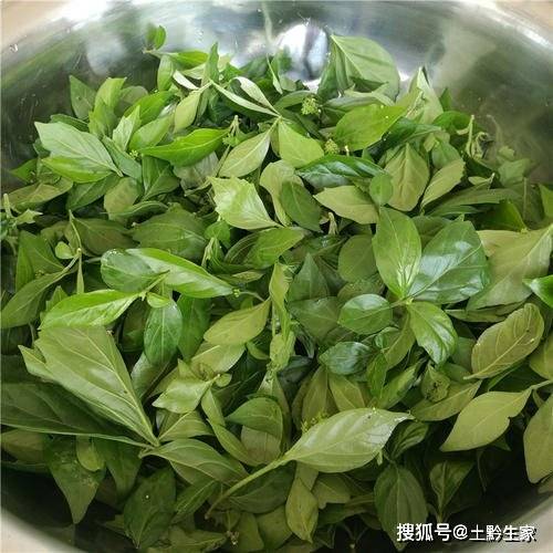 贵州有种豆腐,不仅可以避暑,还能美颜!