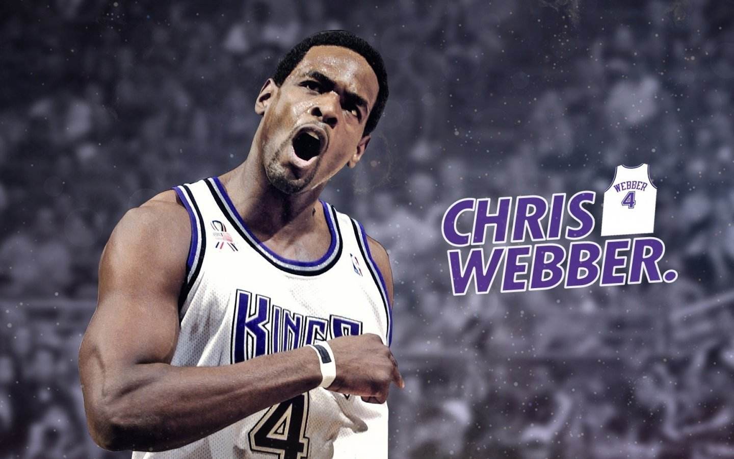 大前锋:韦伯(1994年)