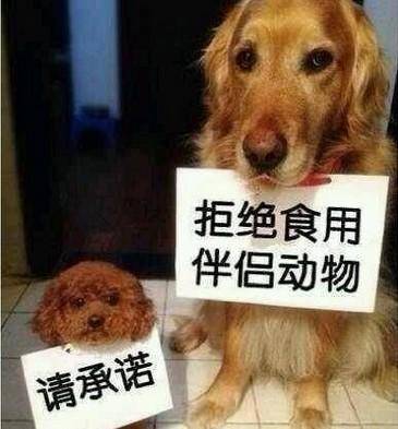 拒绝吃狗肉从你我做起拒绝吃狗肉就是拒绝偷狗贼