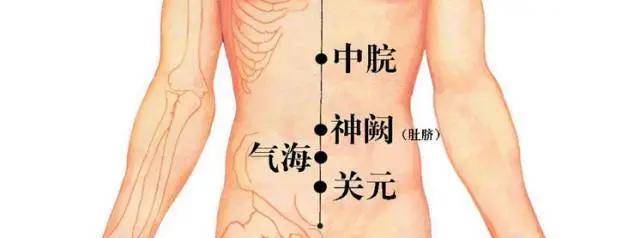 腹中的准确位置图片图片