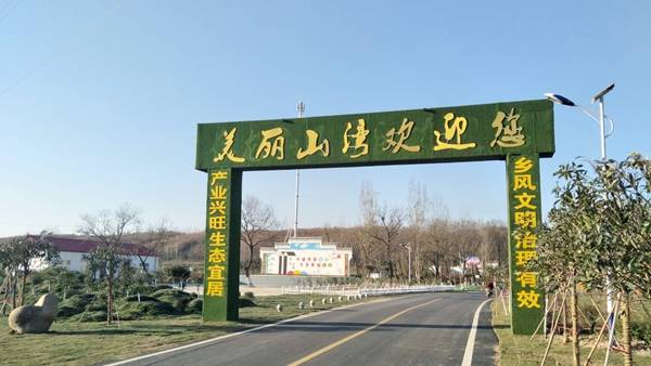 驿城区沙河店镇新时代新气象新作为催生乡村美丽蝶变