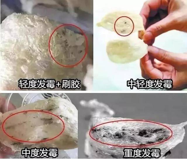 燕窩發黴怎麼辦還能吃嗎